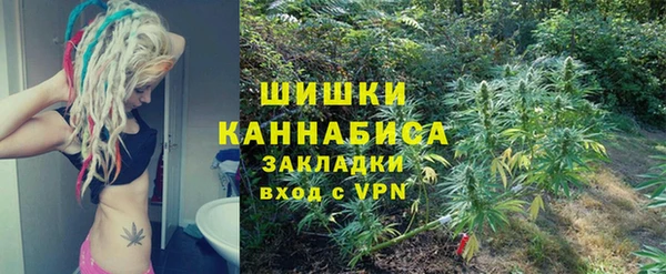 PSILOCYBIN Кинешма